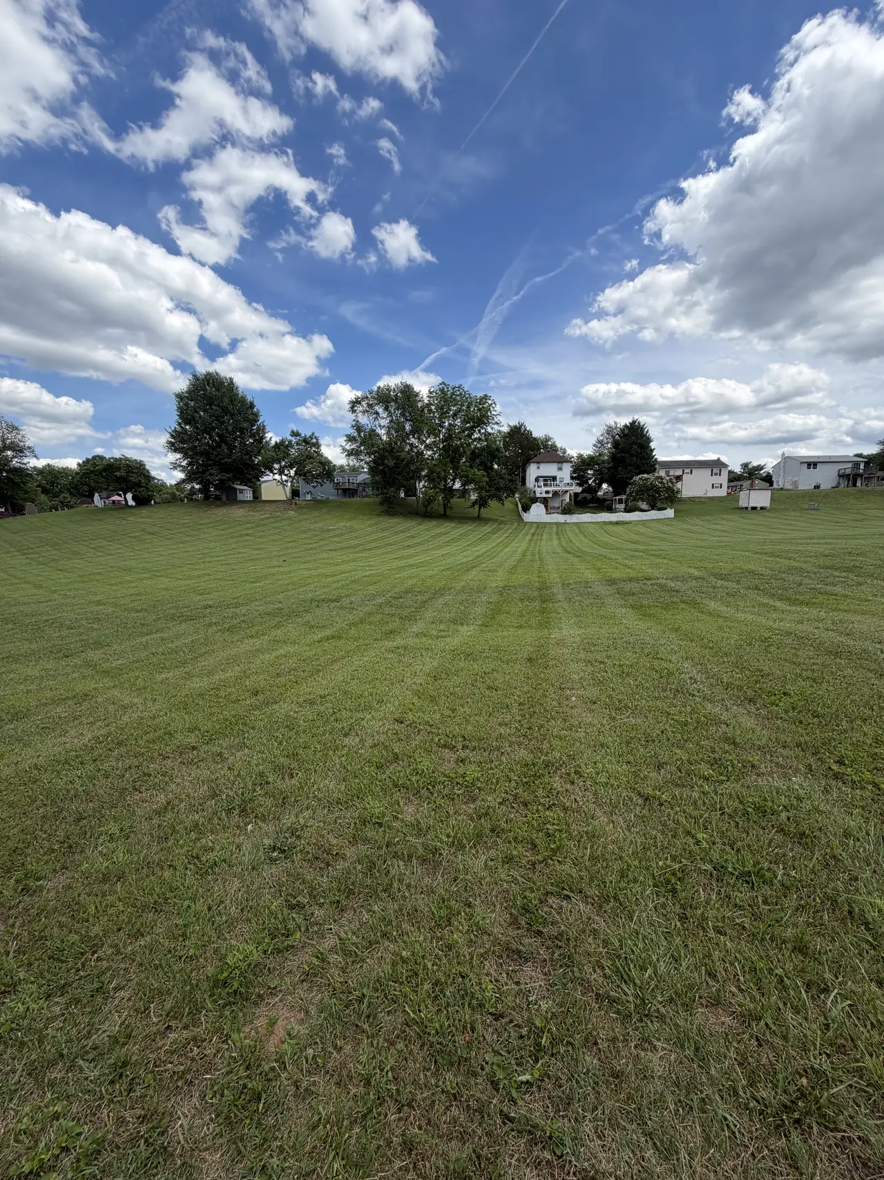 Long mowing lines across an open lawn beneath a blue sky with scattered clouds