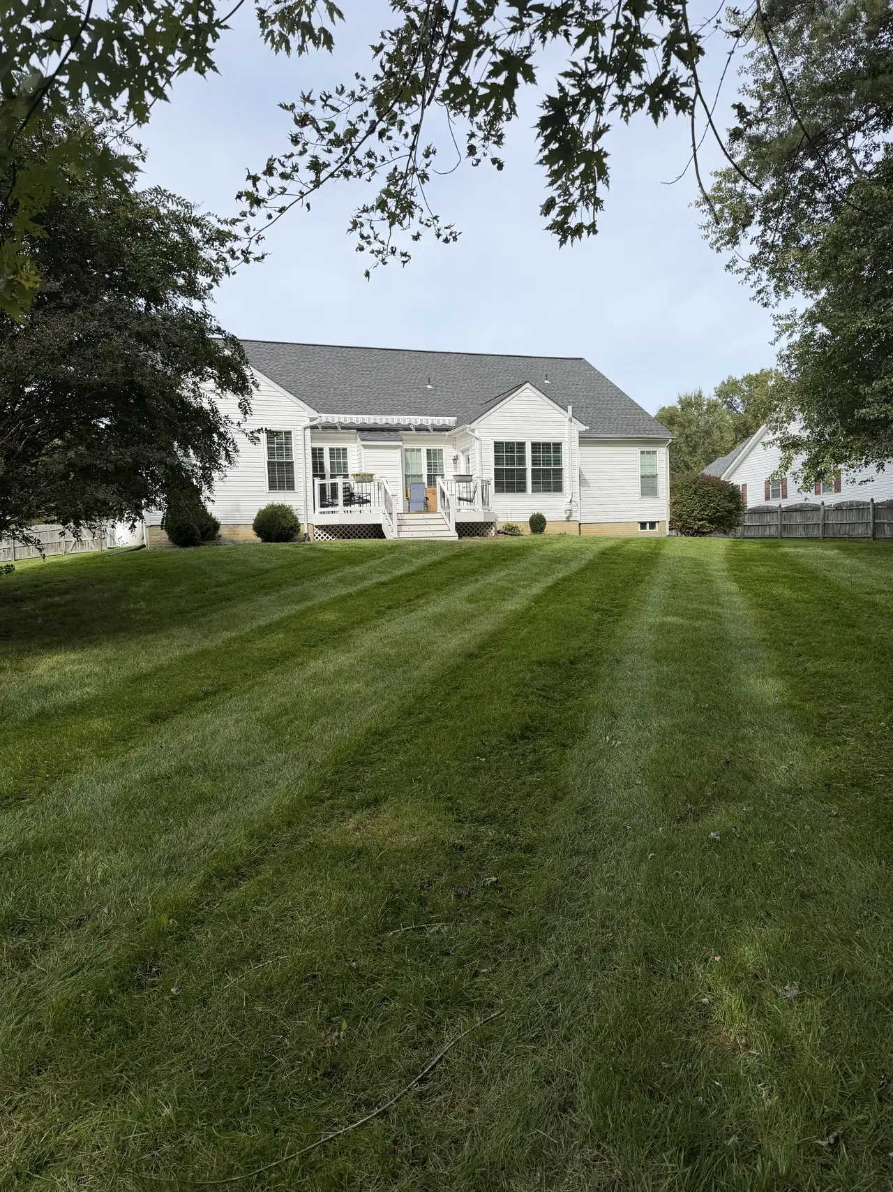 Fresh mowing stripes across a residential lawn below a white house and mature trees